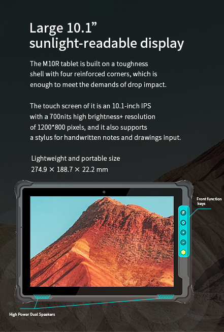 Large 10.1
